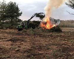 Save the Knettishall Trees