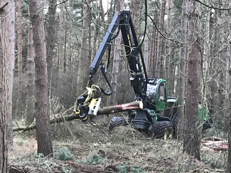 Save the Knettishall Trees