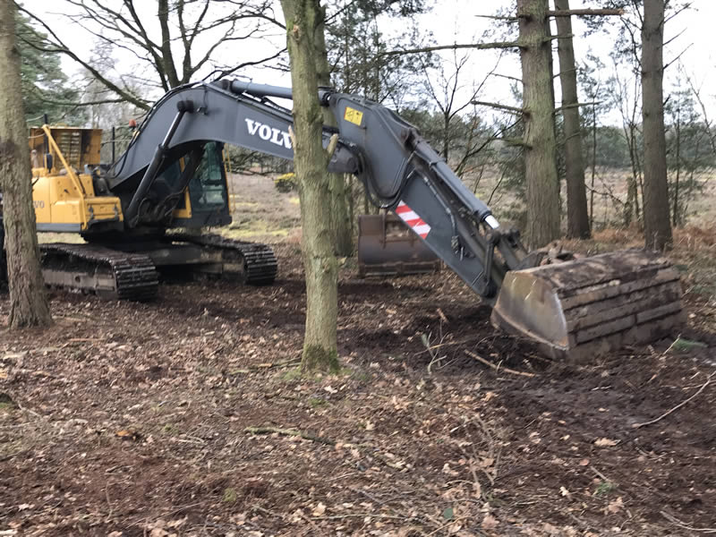 Save the Knettishall Trees